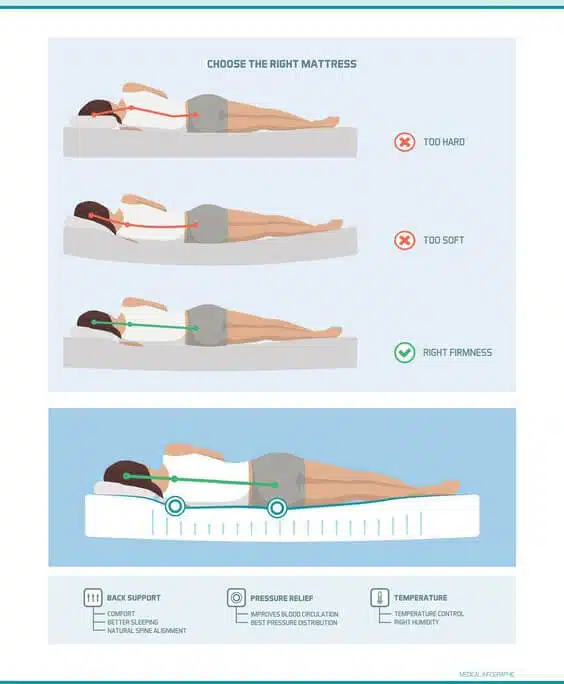 Best Hospital Bed Mattress For Back Pain ingfographics