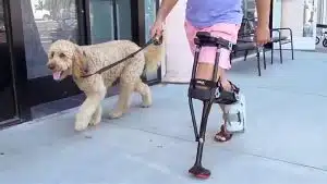 What are Crutches